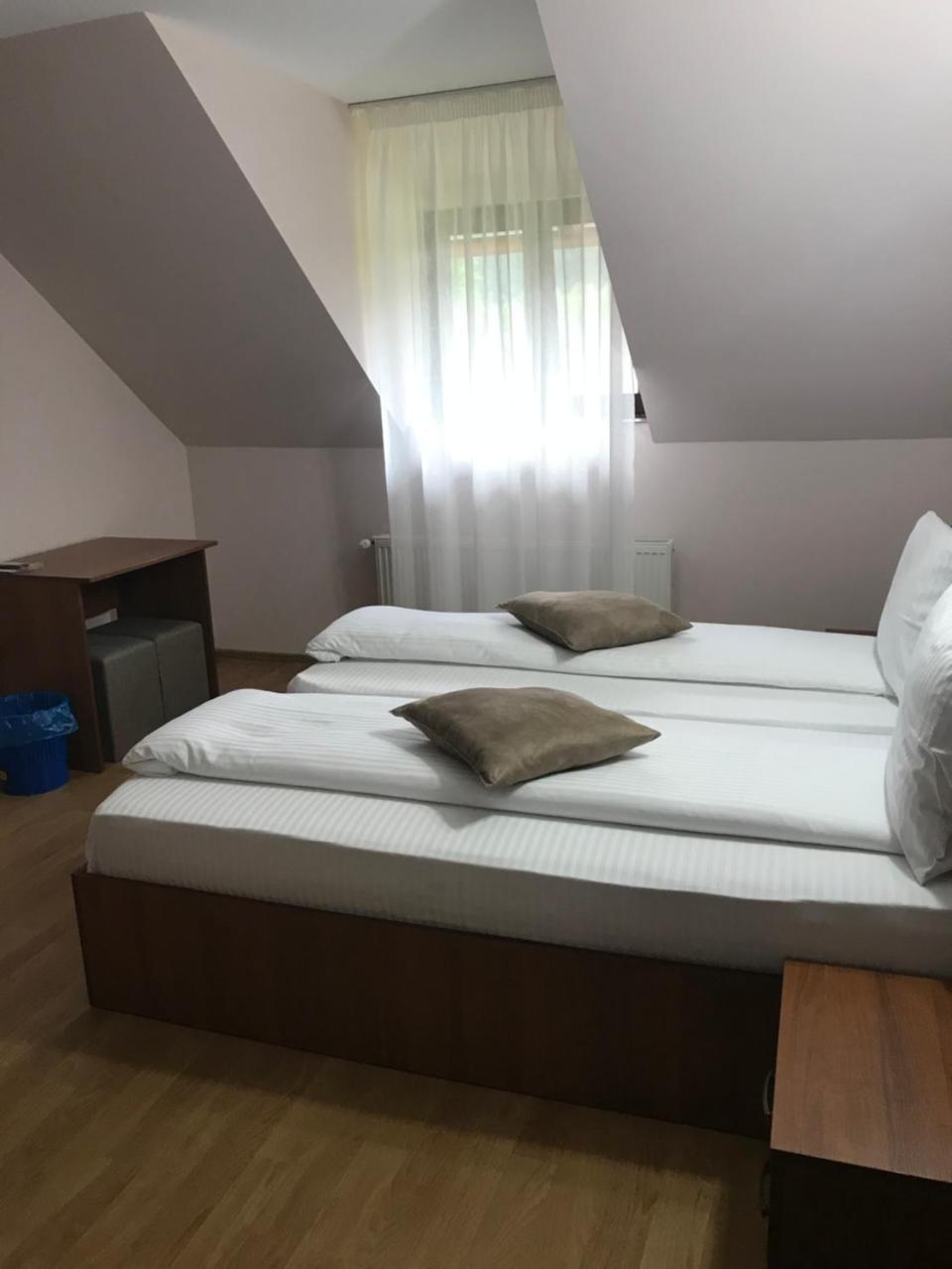 Pensiunea Granada Covasna Ngoại thất bức ảnh